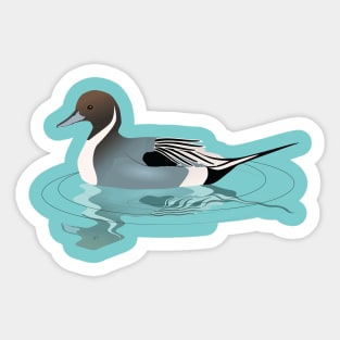 A vector illustration of a northern pintail Sticker